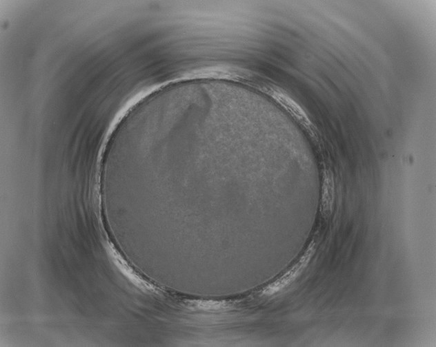 X0000085230800200703231557