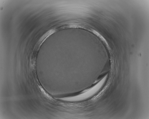 X0000085230801200703231557