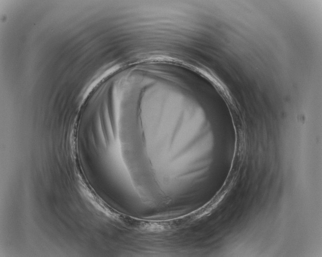 X0000085230806200703231557