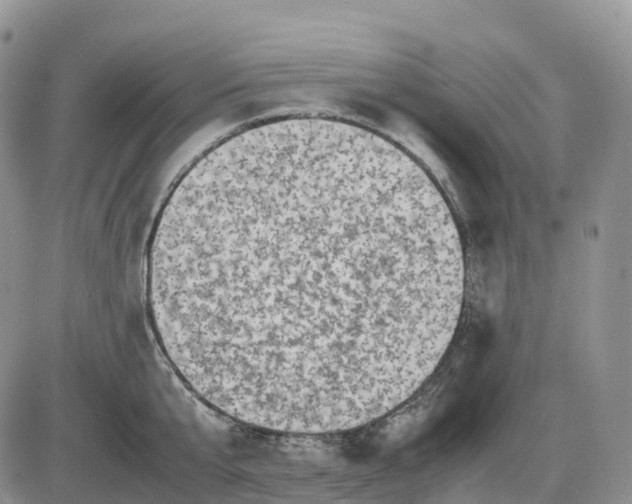 X0000085230807200703231557