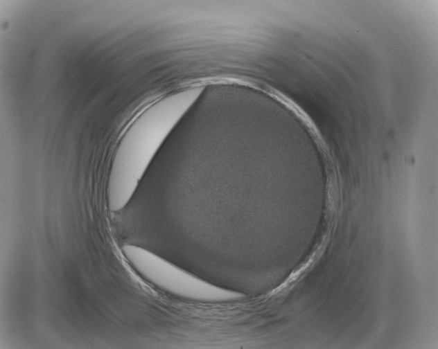 X0000085230809200703231557
