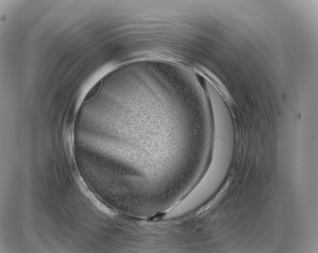X0000085230812200703231557