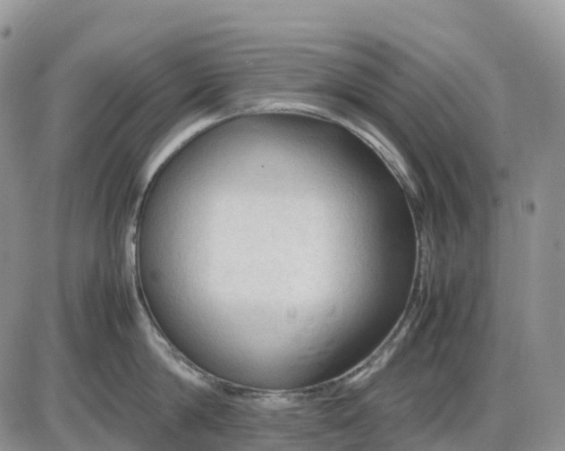 X0000085230814200703231556