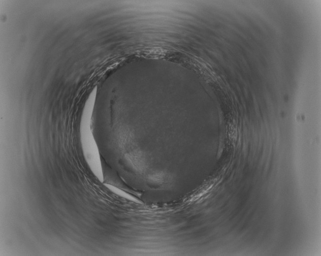 X0000085230818200703231556