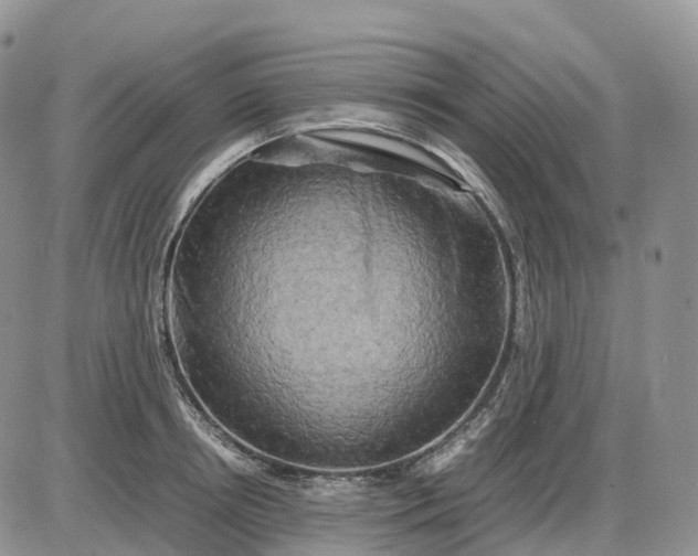 X0000085230850200703231556