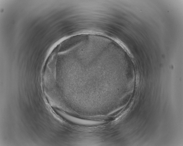 X0000085230854200703231556