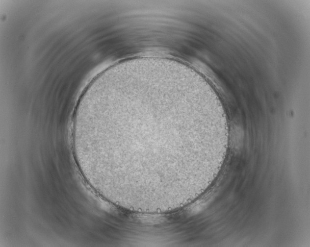 X0000085230856200703231556