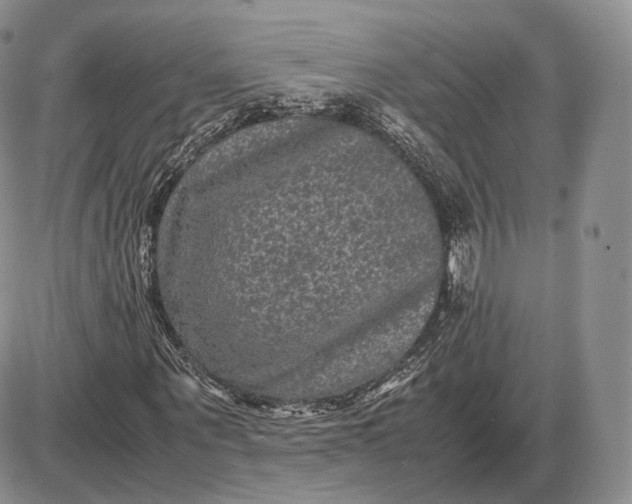 X0000085230867200703231556