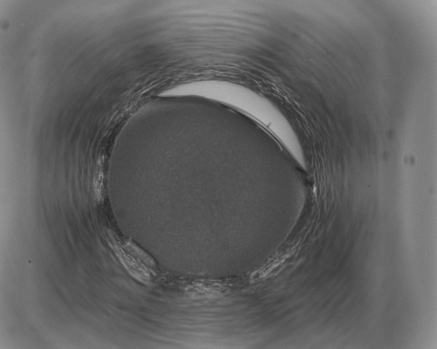 X0000085230868200703231556