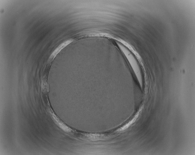 X0000085230897200703231555
