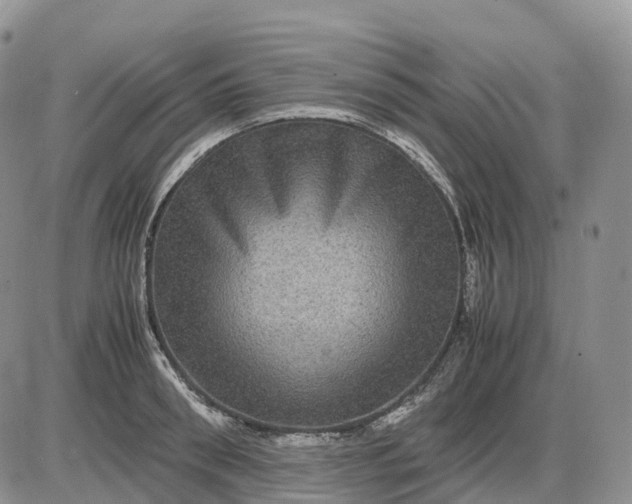 X0000085230898200703231555