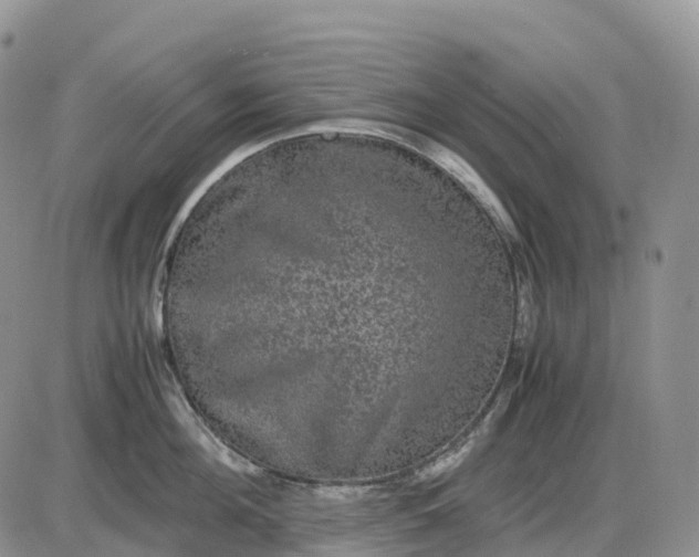 X0000085230908200703231555