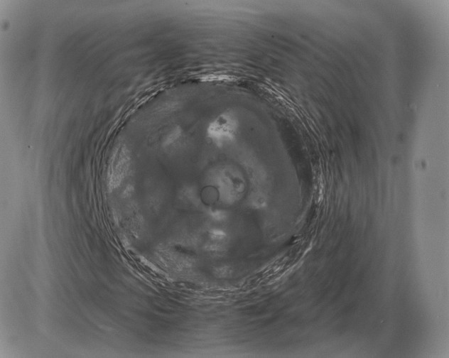 X0000085230913200703231554
