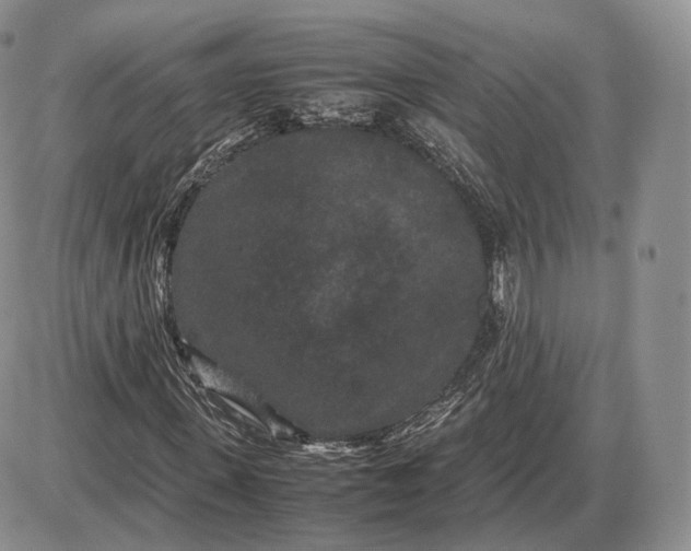 X0000085230915200703231554