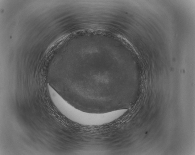 X0000085230919200703231554