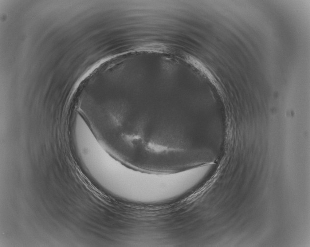 X0000085230923200703231554