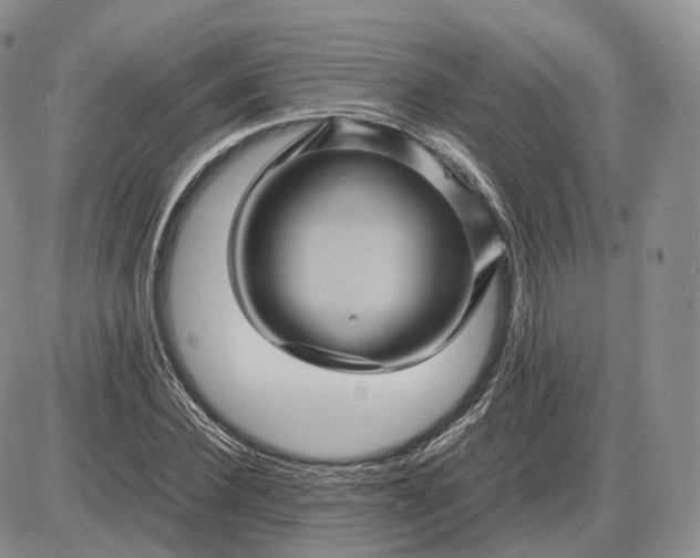 X0000085230924200703231554