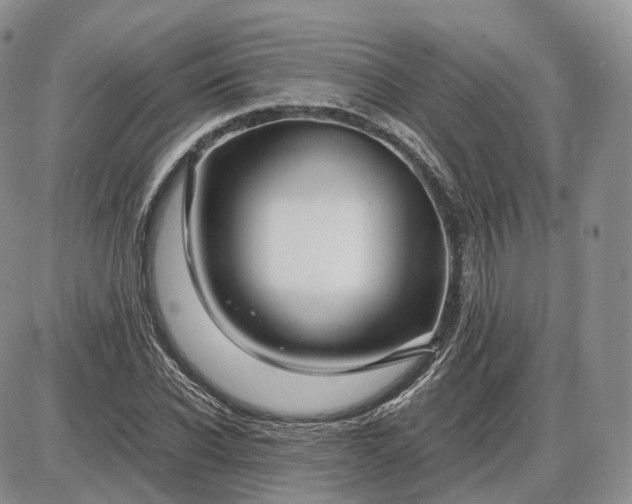 X0000085230926200703231554