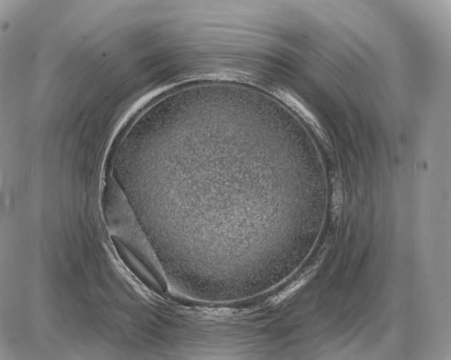 X0000085230940200703231555