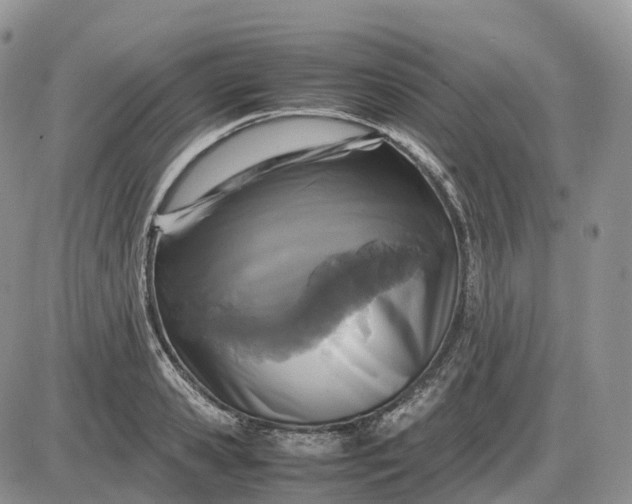 X0000085230941200703231555