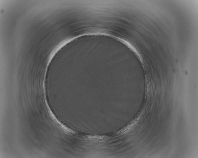 X0000085230943200703231555