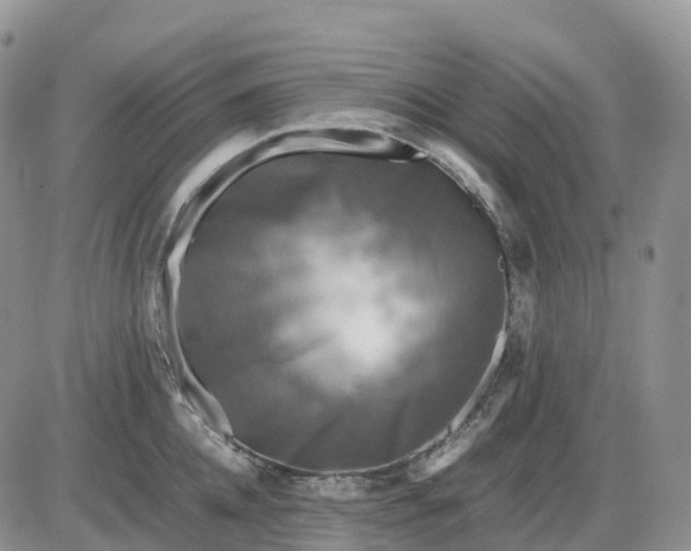 X0000085230952200703231555
