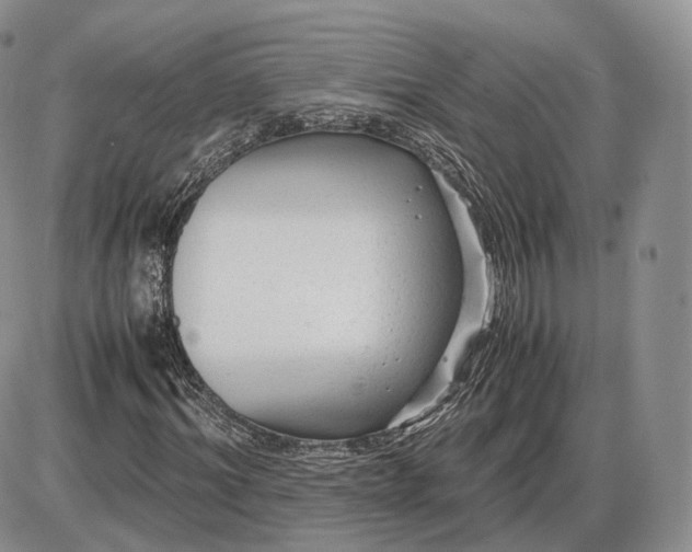 X0000085230964200703231554