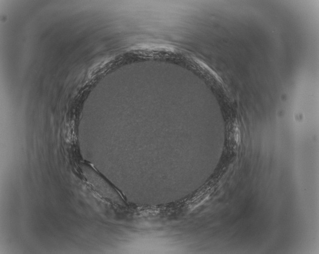 X0000085230965200703231554