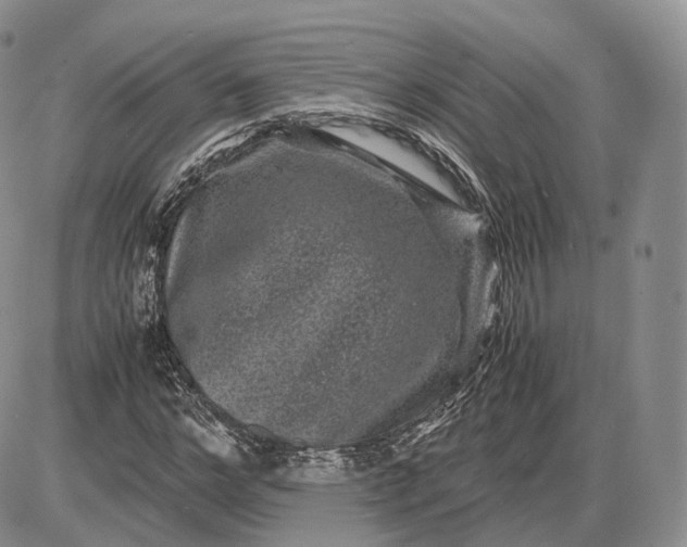 X0000085230968200703231554