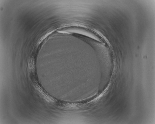 X0000085230969200703231554