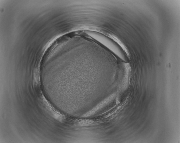 X0000085230972200703231554