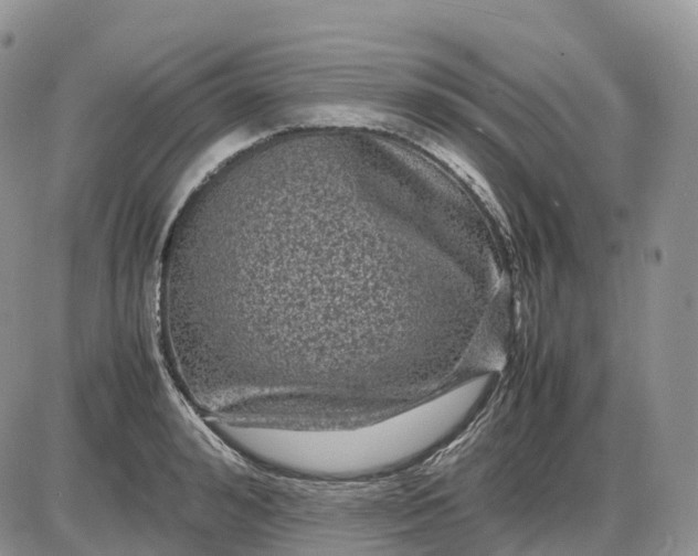 X0000085230992200703231554