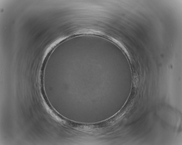 X0000085230995200703231553