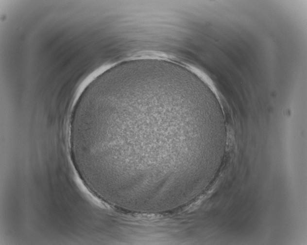 X0000085231003200703231553