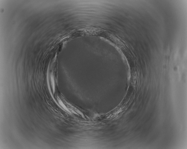 X0000085231010200703231552