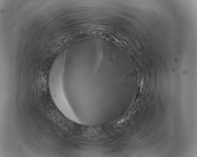 X0000085231013200703231553