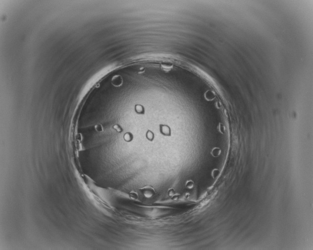 X0000085231050200703231553