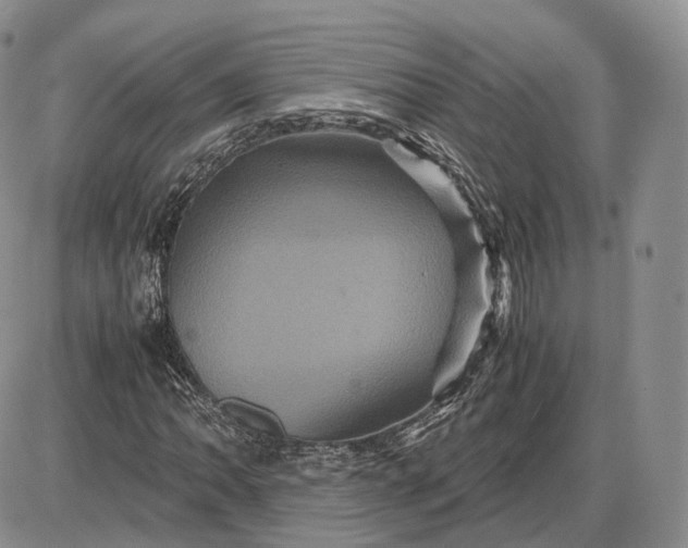 X0000085231062200703231552
