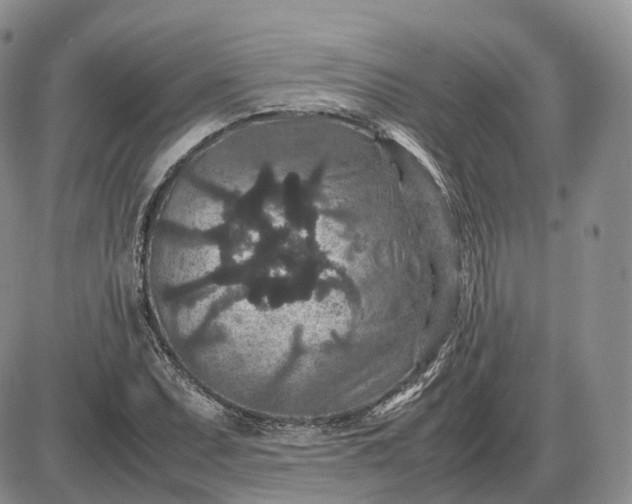 X0000085231071200703231552