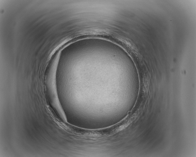X0000085231073200703231552