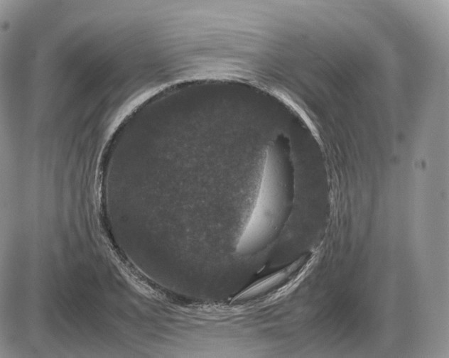X0000085231077200703231552