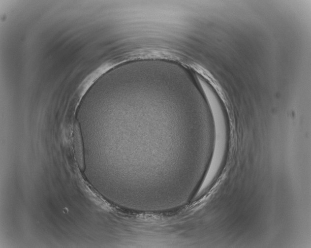 X0000085231089200703231552