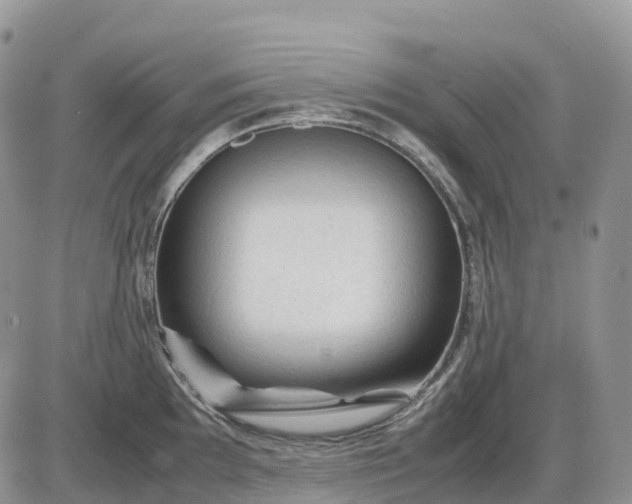X0000085231097200703231552