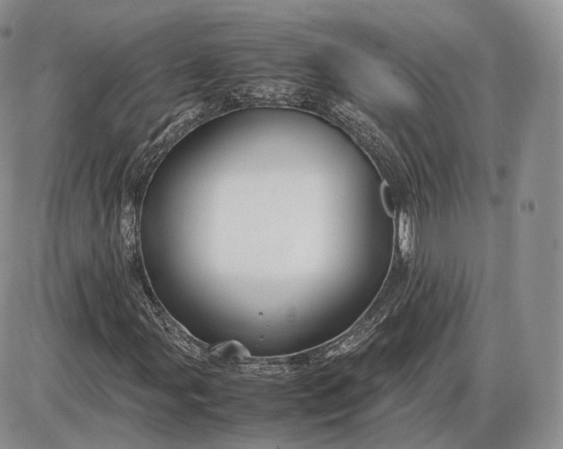 X0000085231107200703231551