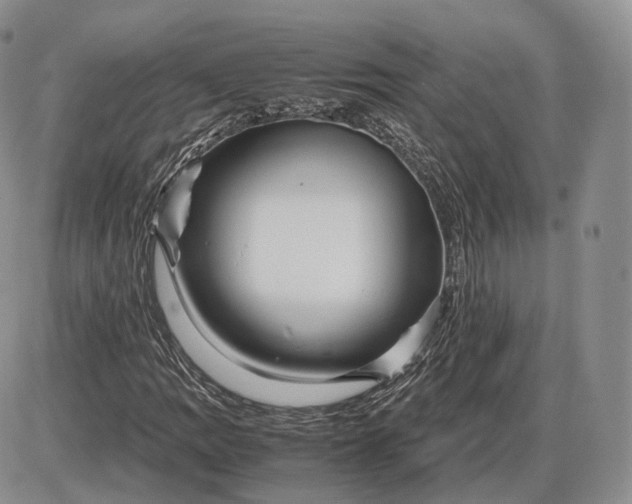 X0000085231109200703231551