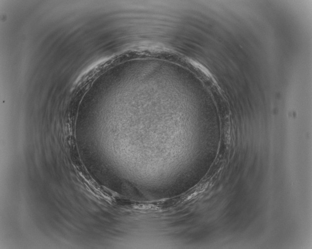 X0000085231112200703231551