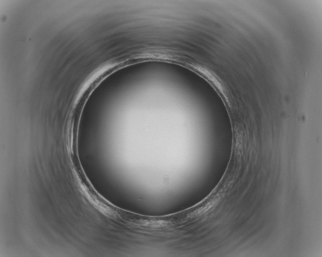 X0000085231131200703231551