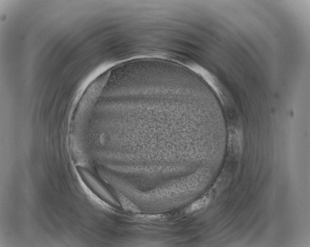 X0000085231143200703231552