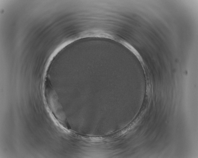 X0000085231144200703231552