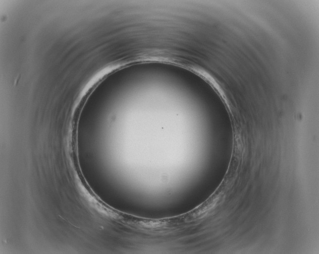 X0000085231147200703231552